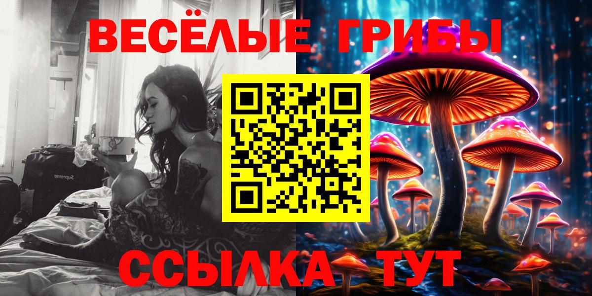 Галлюциногенные грибы прущие грибы Зеленогорск