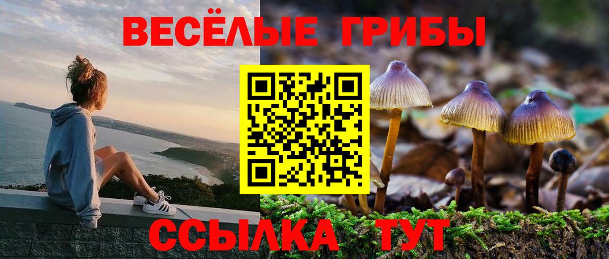 Галлюциногенные грибы мицелий  Вход с VPN  как найти   Зеленогорск  Псилоцибиновые грибы MAGIC MUSHROOMS 