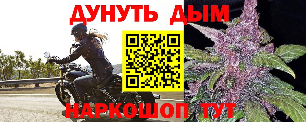 Шишки марихуана план  Каннабис тримм  МАРИХУАНА VHQ  Зеленогорск  Вход с VPN 